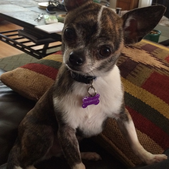 Meet your Posher, X - Picture 1 of 1